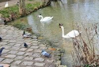 Rando 1/2 journée à Servon