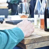 Wine gaming au Domaine viticole de l'Anchois à Châteauneuf-les-Martigues