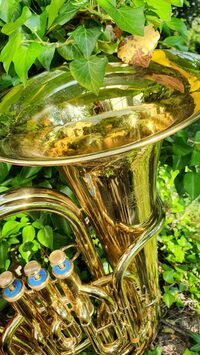 Bulles musicales à Beauvoir-en-Royans