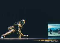 Le repos du guerrier à Toulouse