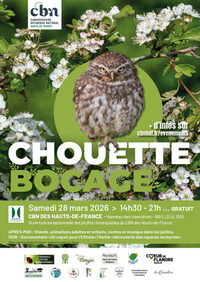 Chouette bocage à Bailleul