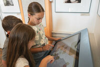 Visite flash : les paysages bressans à Pierre-de-Bresse