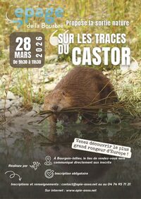 Sur les traces du Castor à Bourgoin-Jallieu