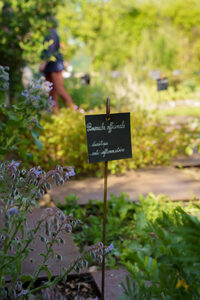 Visite du jardin médicinal de La Roche-Jagu à Ploëzal