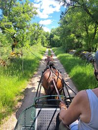 Challenge Kalapca Loisirs - balades en calèche à Cœur-de-Causse