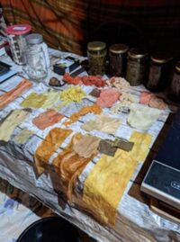 Ateliers scolaires chez Mohair, ferme de Flamanville à Flize