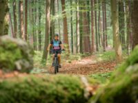 Ebike dans le vignoble du Rangen à Thann