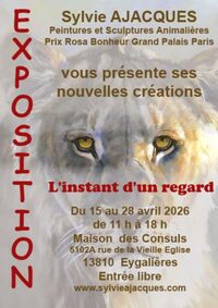 Exposition de Sylvie Ajacques : L'instant d'un regard à Eygalières