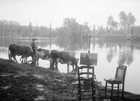 Jeunes regards, jeux de lumière à Louviers