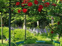 Découverte paisible d'un jardin à Goxwiller