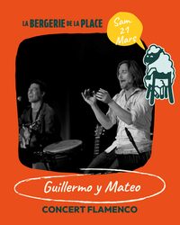 Guillermo y Mateo - Concert flamenco à Arles