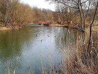 Conférence - La Sarre insolite à Sarreguemines