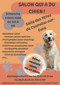 Salon qui a du chien à Courville-sur-Eure