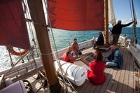 Echappée les pieds dans l'eau, dans le Cotentin à Barneville-Carteret