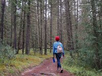 Randonnée pédestre à Montpinchon