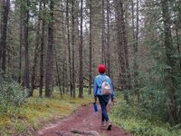 Randonnée pédestre à Quettreville-sur-Sienne