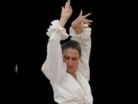 Initiation au flamenco à Saint-Denis-le-Vêtu