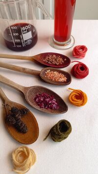 TEINTURE VÉGÉTALE : TON PROJET DE A À Z à Montaigut-sur-Save