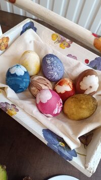 TEINTURE VÉGÉTALE SUR OEUFS à Montaigut-sur-Save