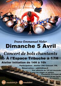 CONCERT DE FRANZ NIELER à Montaigut-sur-Save