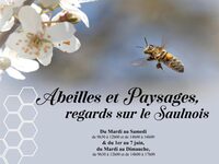 Exposition - Abeilles et paysages, regards sur le Saulnois à Dieuze