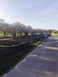 Les Lambesc'apades : Visite du Mas du Grand Croignes à Lambesc
