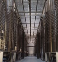 Les Lambesc'apades : visite du Vignoble du Roy René à Lambesc