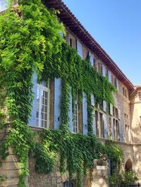 Les Lambesc'apades : Les végétaux ornementaux de Lambesc ! à Lambesc