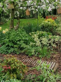 Visite découverte du jardin Au chant du pinson à Guyencourt-Saulcourt