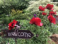 Le jardin de la chapelle en bois à Sebourg