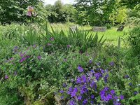 Visite du Jardin vivrier et paysager, plaisir des yeux et de la découverte de ta à Bressuire
