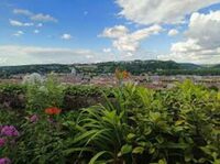 Visite du Jardin des Grangettes à Bar-le-Duc