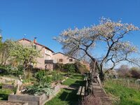 Visite du jardin du Moyen-Âge à Saint-Haon-le-Châtel