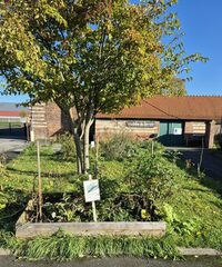 Balade à pied autour des jardins du Musée du Terroir à Villeneuve-d'Ascq