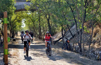 À vélo sur la voie verte ! à Capestang
