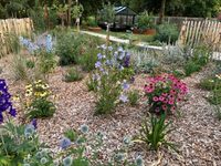 Visite d'un jardin thérapeutique à Cognac