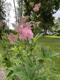 Visite guidée du Manoir du Pont-de-Metz à Pont-de-Metz