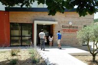 “Le châtaignier, un arbre aux mille usages” à Cendras