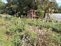 Visite découverte du jardin à Saint-Antoine-l'Abbaye