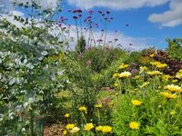 Visite du jardin "Un Écrin de Florilèges" - Saint-Venant à Saint-Venant