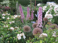 Découvrez le jardin de la Cardonnerie à Bersée