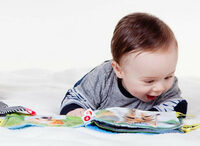 Les Bibliothécaires racontent à Toulouse