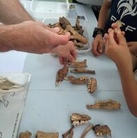 Village des archéologues à Saint-Romain-de-Jalionas