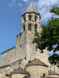 La Garde - Adhémar : Balade Découverte des plantes médicinales à La Garde-Adhémar