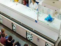 Réactions en tout genre à Paris 15e