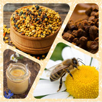 Visite de la ferme mielifique et dégustation à Mornant