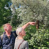 Balade Nature "Votre quartier au printemps" / à la Pouponnière à Lille