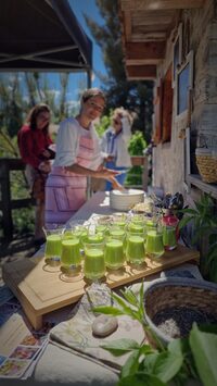 Délices de la nature & cuisine sauvage à Le Val-d'Ajol