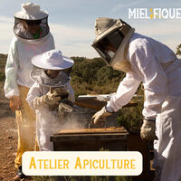 Baptême d'apiculture - découvrez la vie des abeilles au plus près à Mornant