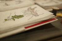 Exposition "Vivus" à Guebwiller